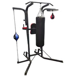 Multi-station Chinning Stand- Speed ball & Sand Bag