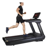 Treadmill EnduraSuper LED 260