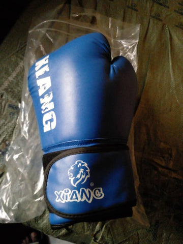 Boxing Glove (Xiang/Blue)