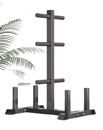 Multi-Functional Weight Plate Barbell Rack