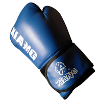 Boxing Glove