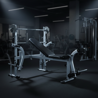 Multifunctional Bench Press Home (Excludes Weights)