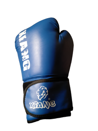 Boxing Glove