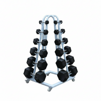 Rack- Dumbbell 10 Levels