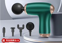 Massage Gun D (Single Head with Accessories)