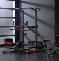 Chinning Stand - With Foldable Bench B