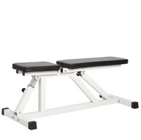 Adjustable Dumbbell Bench 300KG - Standard