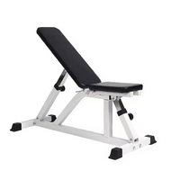 Adjustable Dumbbell Bench 300KG - Standard