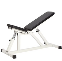 Adjustable Dumbbell Bench 300KG - Standard