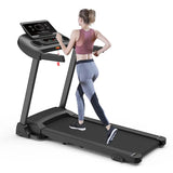 Treadmill EnduraFit 451